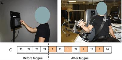 Central and Peripheral Shoulder Fatigue Pre-screening Using the Sigma–Lognormal Model: A Proof of Concept